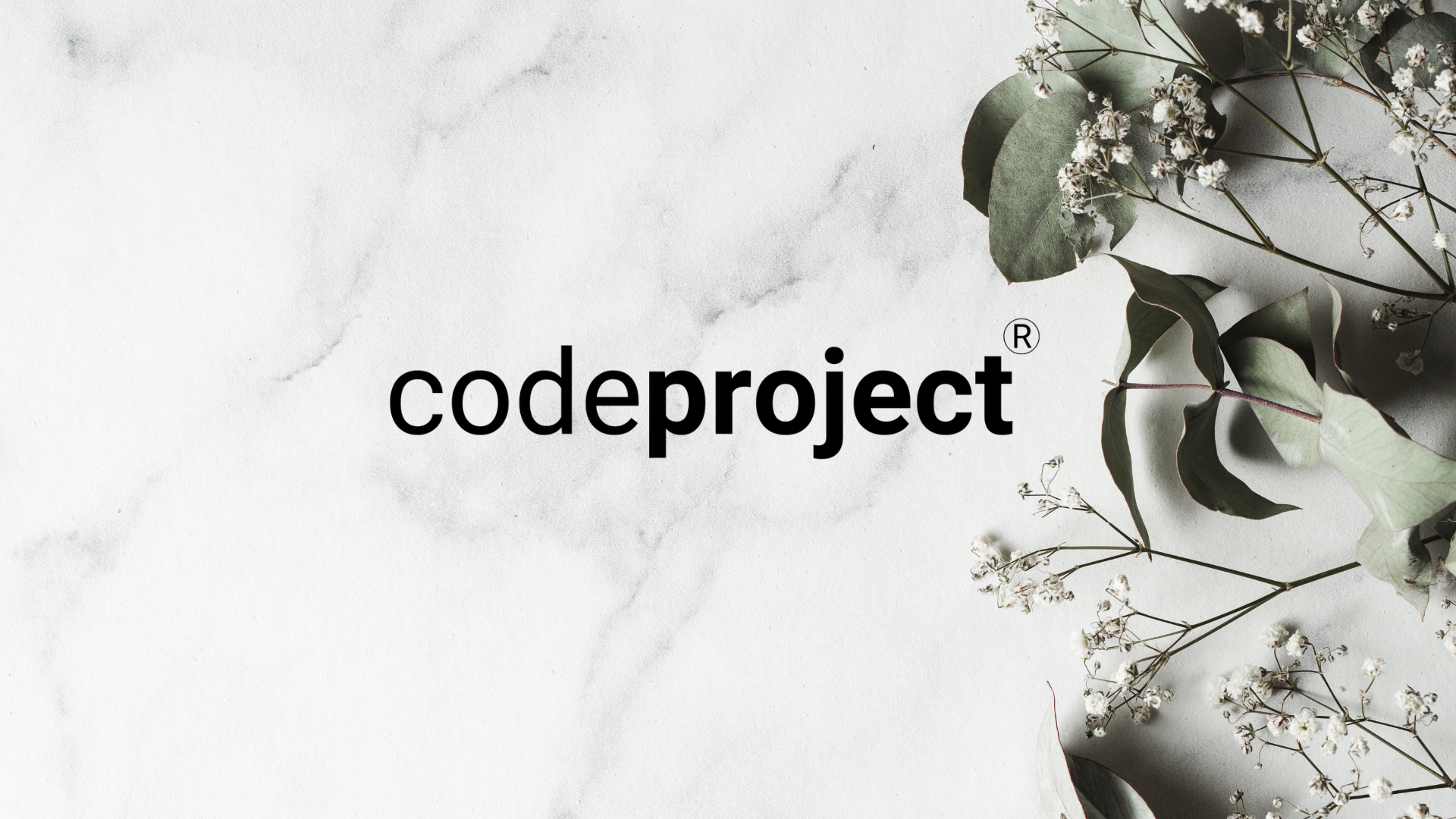 Imagen del proyecto Codeproject
